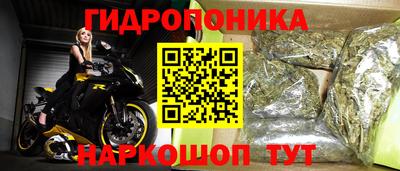 Альфа ПВП Гусиноозёрск
