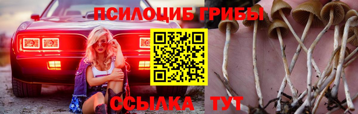 Псилоцибиновые грибы MAGIC MUSHROOMS Зеленокумск